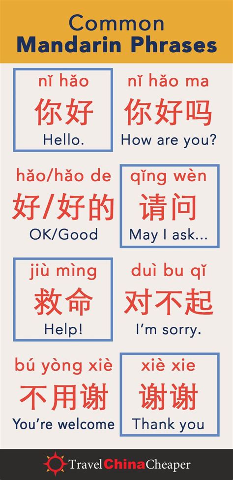 ādídásī y3 yùndòng xié|Learn the Mandarin Chinese Words for Common Clothing Items.